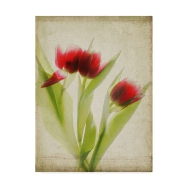 Judy Stalus 'Parchment Flowers I' Canvas Art, 14x19, Trademark Fine Art, Mfr#: WAG06606-C1419GG